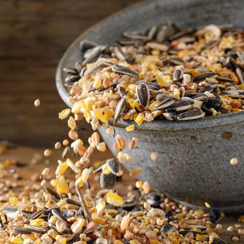 CONFEZIONE REGALO PLATINO