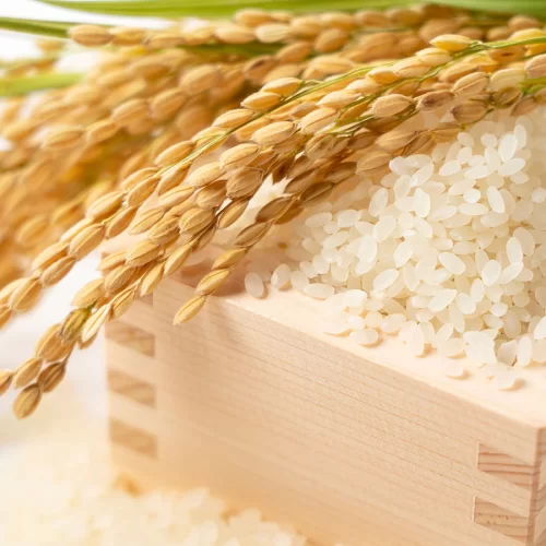 OLIO EXTRA VERGINE DI OLIVA